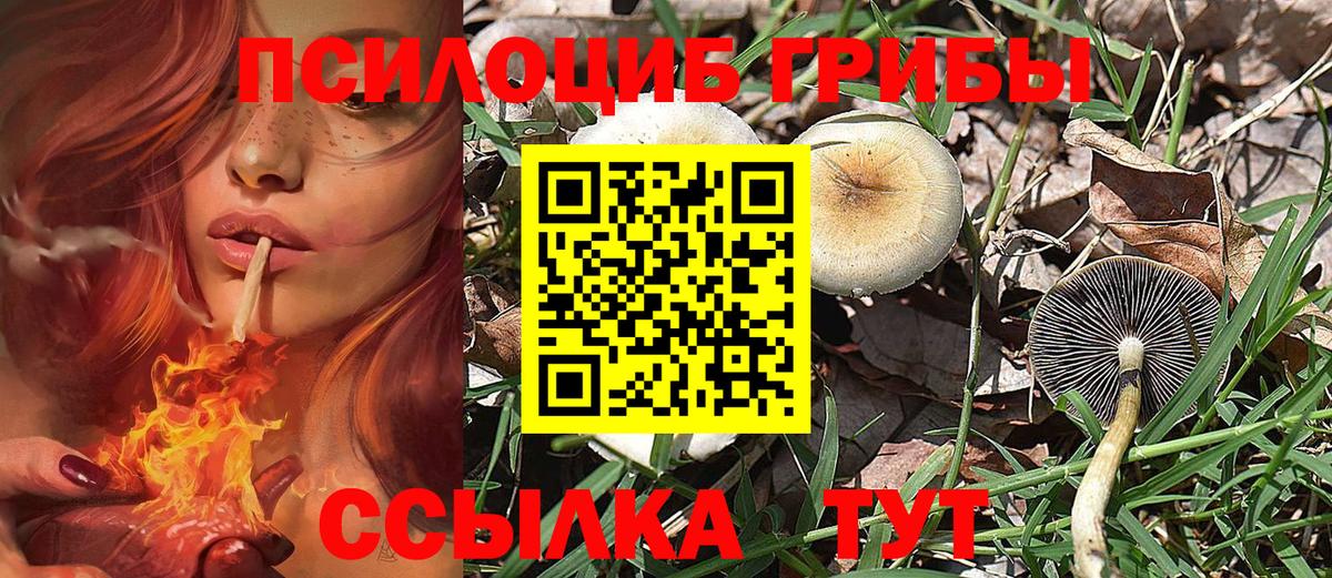 Жуковский  Галлюциногенные грибы мухоморы  Псилоцибиновые грибы Psilocybine cubensis  Вход с VPN 