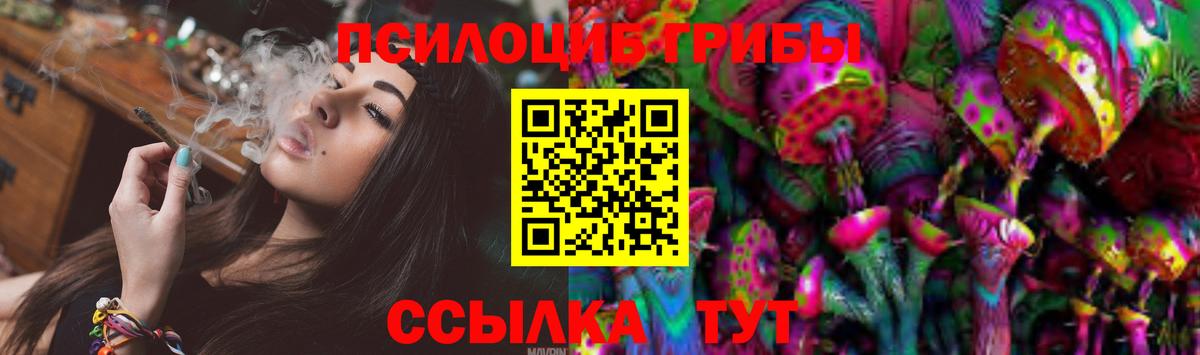 Псилоцибиновые грибы Psilocybe Жуковский